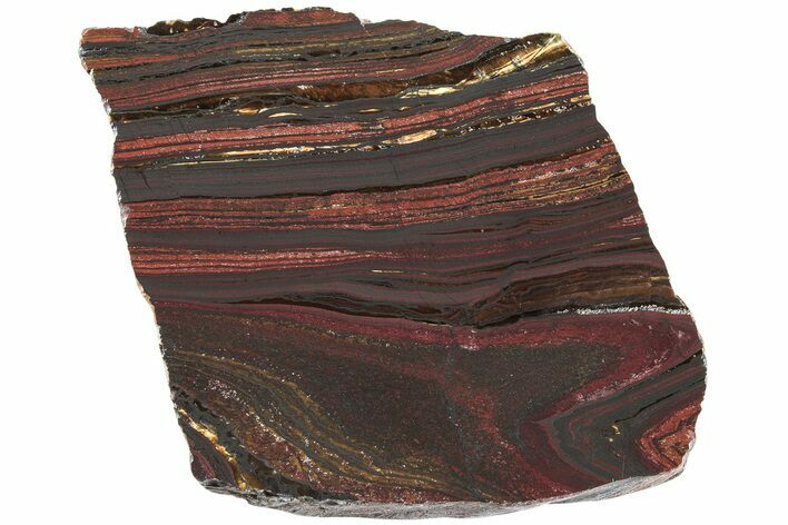 Polished Tiger Iron Stromatolite Slab - Billion Years #222023